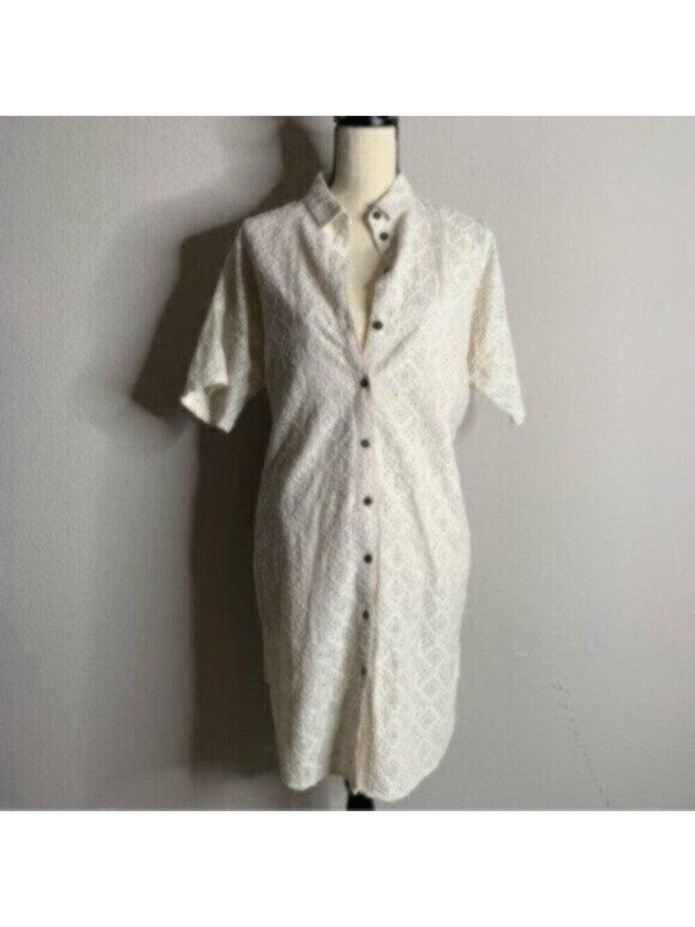 Current Elliott Oversized Smock Eyelet Lace Shirt Dress - Picture 4 of 12